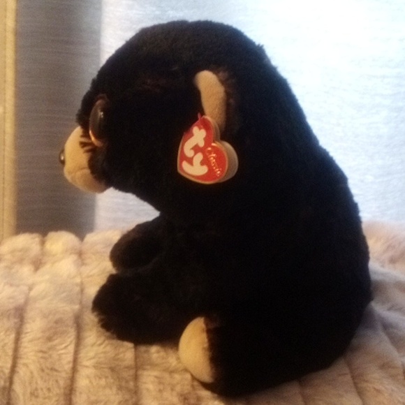 TY Kodi Bear - 8 inch - Beanie Buddie - New with Tag! - Picture 3 of 8